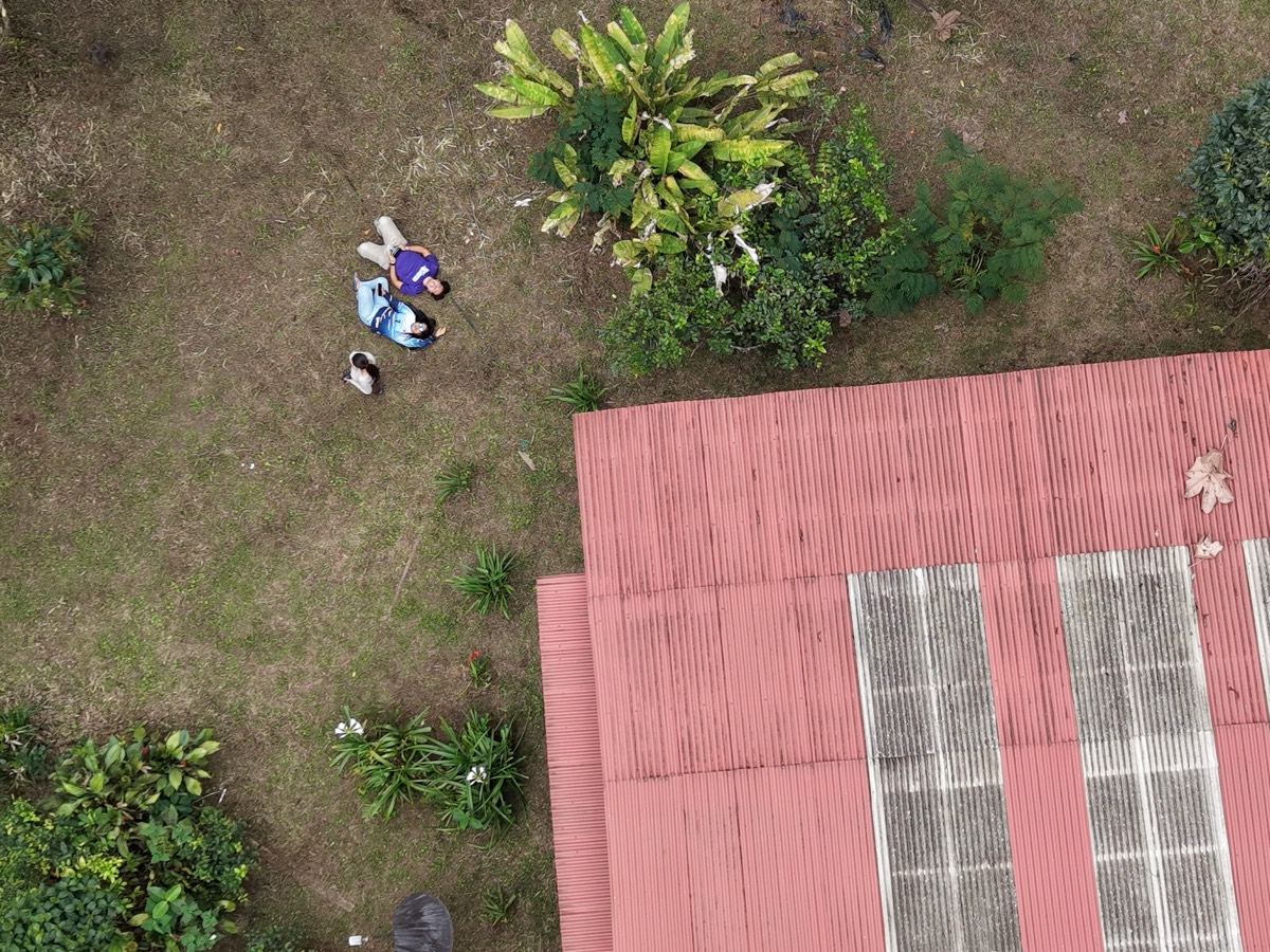 Aerial drone photo of the Los Cedros forest ridge line